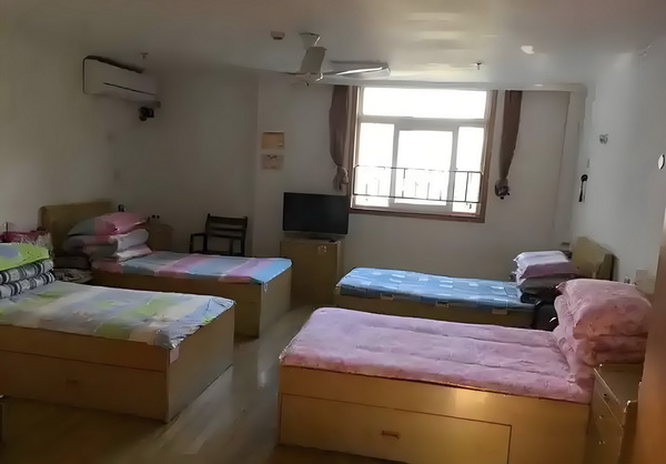古董训鬼师